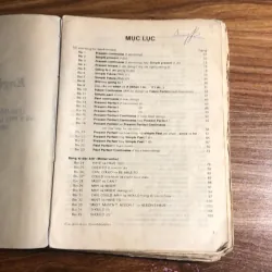 English grammar in use 989810