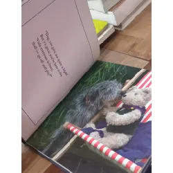 Binky in Trouble - Moira Blackwell, Liz Nankivell