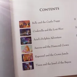 Disney Princess Storybook Collection 961402