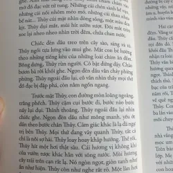 Bình Minh Nửa Đêm 736331