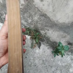 Thơ văn Nguyễn Bỉnh Khiêm  1022819