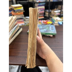 Bí mật về Huyền Trân Công Chúa - Việt Linh 936691