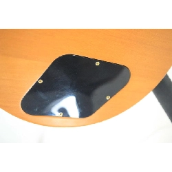 ＧＩＢＳＯＮ ＬＥＳ ＰＡＵＬ ＳＭＡＲＴＷＯＯＤ ＥＸＯＴＩＣ - Hàng hiệu Authentic 878754