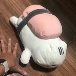 Mèo Sushi, tặng móc khoá Capybara 778852