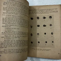 Huyết học (Tập 1) - 1978s 1013088