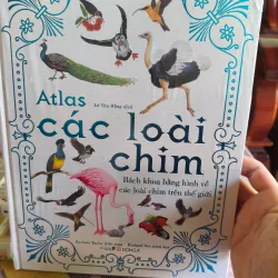 Atlas các loài chim 1020742