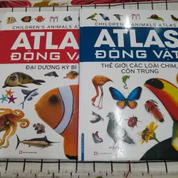 2 quyển ATLAS Động vật cho trẻ em -Thế giới Đại dương & Loài chim, côn trùng. Sách màu.