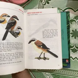 Từ điển tranh về các con vật  800456