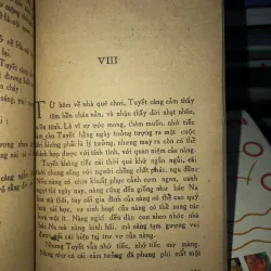 Đời mưa gió - Khái Hưng và Nhất Linh  798968