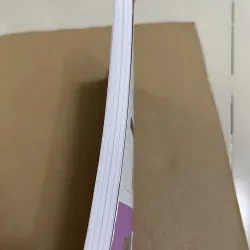 VIC IELTS WRITING START 1024068