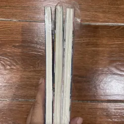 Thanh gươm diệt quỷ 3 cuốn tiểu thuyết (19) 593197