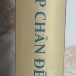 Khảo Cứu Pháp Chân Đế 719014