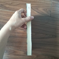 Hàn sa độc huyết 508375