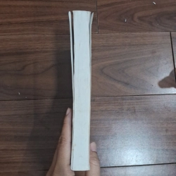 Nữ hoàng và kẻ cướp 508043