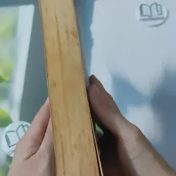 My Sister's Keeper - Jodi Picoult 1027518