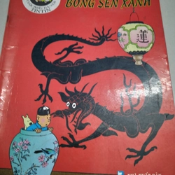 Tintin bông sen xanh