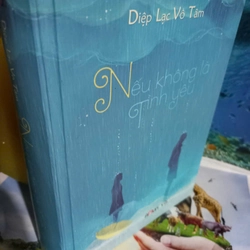 diêp lạc vô tâm nếu không là tình yêu