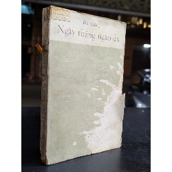 Ngày tháng ngao du - Bùi Giáng