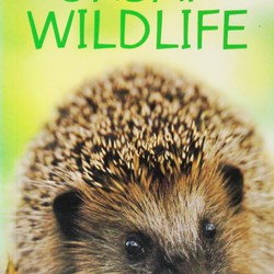 Usborne Spotter's Guides: Urban Wildlife