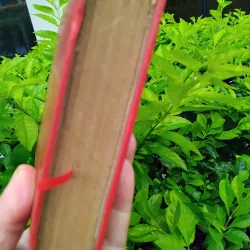 Đỉnh gió hú của Emily Bronte 960820