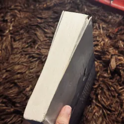 Những màu khác 1022212