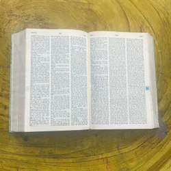 TỪ ĐIỂN ANH - VIỆT - ENGLISH - VIETNAMESE DICTIONARY NEW EDITION  699409