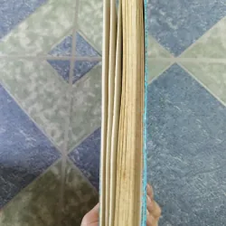 Thủy Hử truyện - Văn học cổ đại Trung Quốc bốn đại danh tác 590774