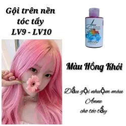Dầu Gội Bù Màu Anne Đổi Màu Tóc Tẩy (Nền Tóc LV9) Màu Khói 761467