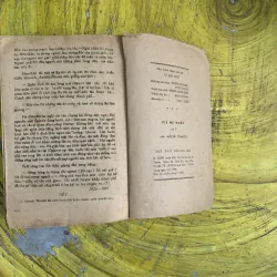 PIE ĐỆ NHẤT BẢN BAO CẤP 746395