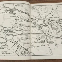 THE GIRL WHO LIVED TWICE (Continuing Stieg Larsson's Millennium series) - D. Lagercrantz 714279