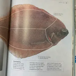 SUSHI TASTE AND TECHIQUE (SUSHI HƯƠNG VỊ VÀ KỸ THUẬT) - KIMIKO BARBER & HIROKI TAKEMURA 690014