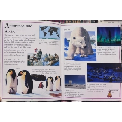 First Encyclopedia - Kingfisher 1003557