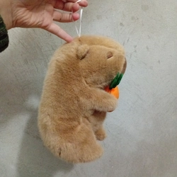 Capybara ôm 🥕 352854