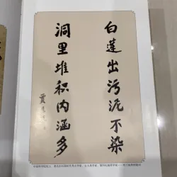 [SÁCH KHẢO CỔ TRUNG QUỐC] LIỄU CHÂU BẠCH LIÊN ĐỘNG 997536