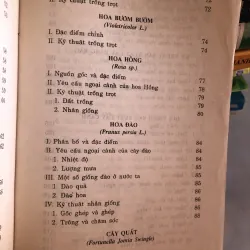 Trồng hoa cây cảnh trong gia đình - Nguyễn Huy Trí - Đoàn Văn Lư 1001807