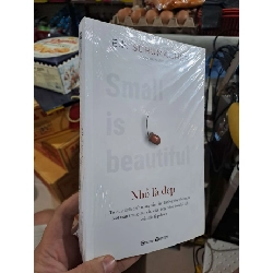 Nhỏ Là Đẹp - E F Schumacher - mới 100% - QUẢN TRỊ - HMT3012