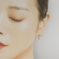 Bông tai kim cương Stargewery 0.03CT một bên - Hàng hiệu Authentic 844304