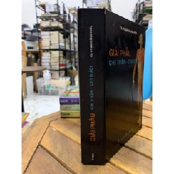 Giải phẫu chi trên- chi dưới -TS. Phạm Đăng Diệu