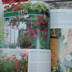 Không Gian Sống- Tạo góc Thư giãn trong nhà. Vườn cho nhà phố 734112