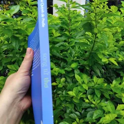 Song tử thơ Như Quỳnh de Prelle 995309