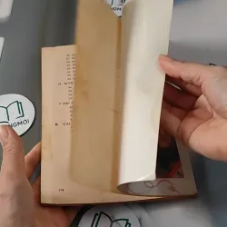 Khéo Tay Làm Bánh - Triệu Thị Chơi 727274