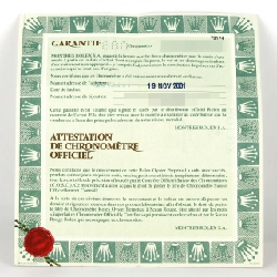 Đồng hồ Rolex Datejust 79174G SSxWG tự động P số - Hàng hiệu chính hãng 875383