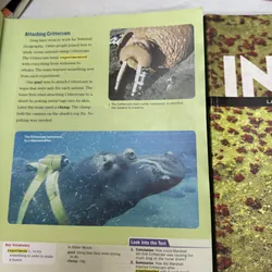 Inside 1 bộ 2 cuốn  593707