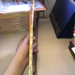 Ánh Lửa Đêm Đông-Ban Giáo Sư ALPHA 956855