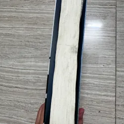 Từng có người yêu tôi như sinh mệnh - Thư Nghị 1010530