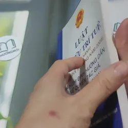 Luật Sở Hữu Trí Tuệ Và Nghị Định Hướng Dẫn Về Quyền Tác Giả, Quyền Liên Quan 727366