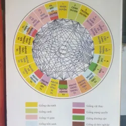 Bản Giải Siêu Lý Cao Học 717700