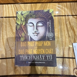 Đạo Phật pháp môn và đạo Phật nguyên chất-Thích Nhật Từ