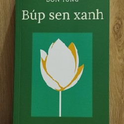 Sách Búp sen xanh - Sơn Tùng - còn mới 58423