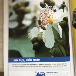 Thăng trầm ngân hàng - Hải Lý  968769